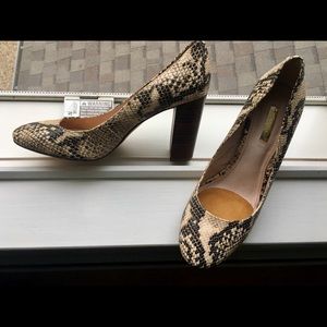 CLEAR OUT!💃Gorgeous Louis et Cie Snakeskin pumps